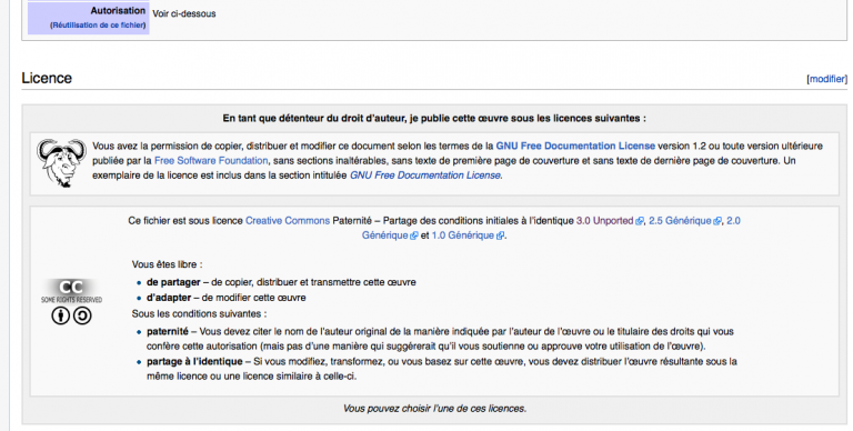 Comment Trouver La Licence Dune Photo Sur Vikidia