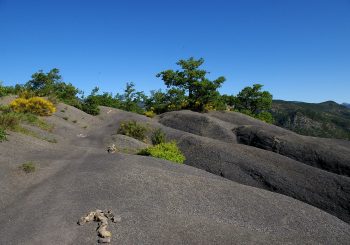 Wiki Loves Earth Terres Noires