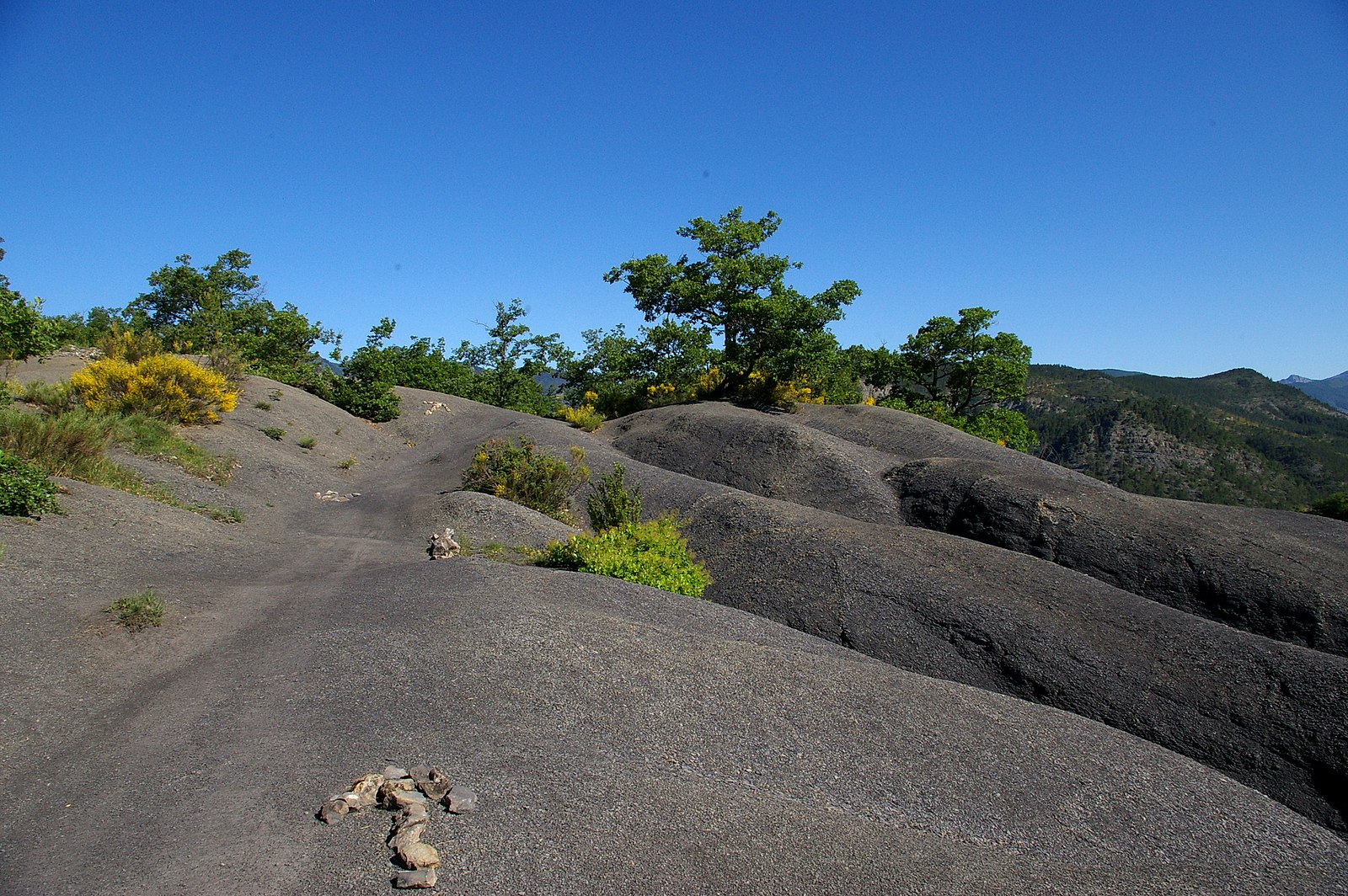 Wiki Loves Earth Terres Noires